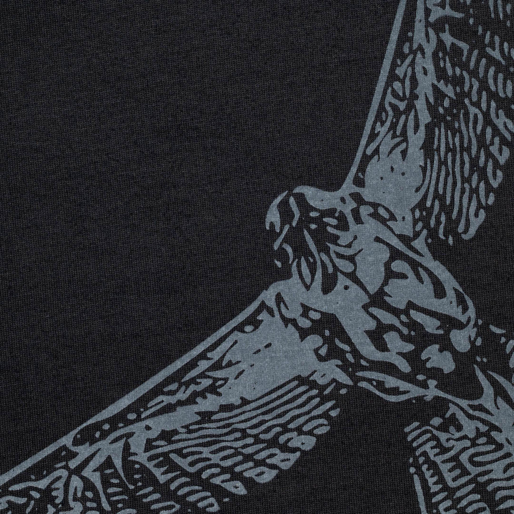 Remera Gavilán