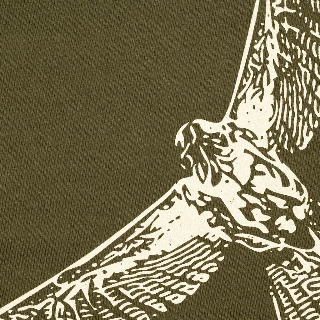 Remera Gavilán