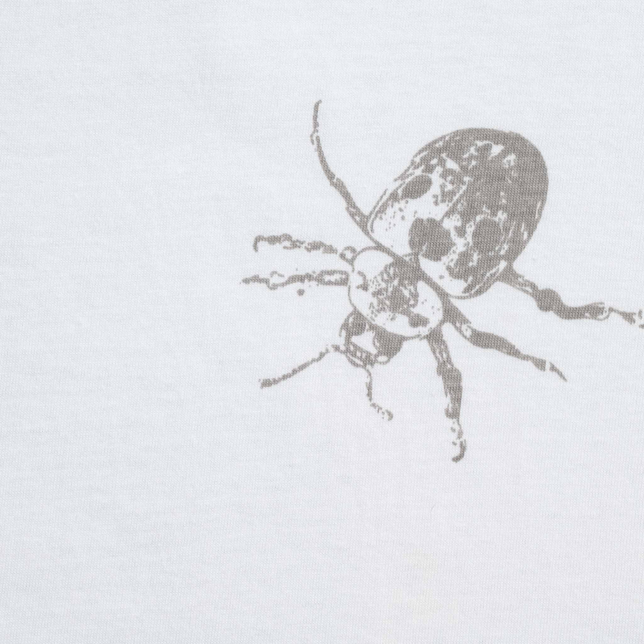Remera Astylus