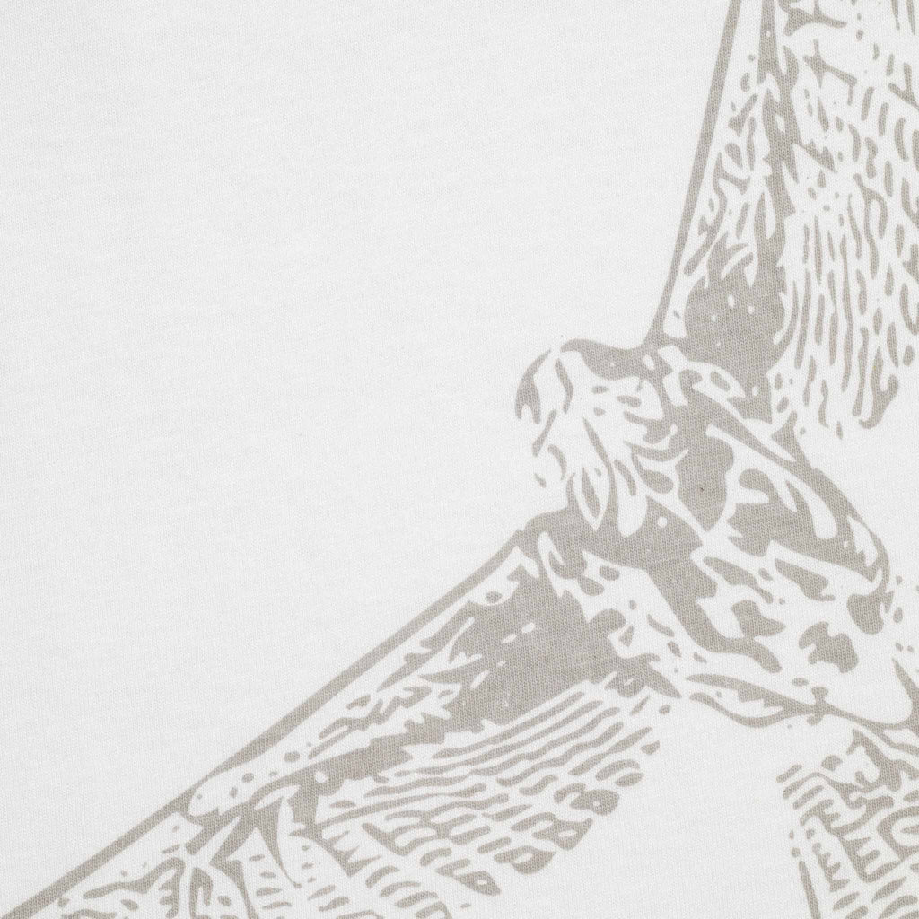 Remera Gavilán