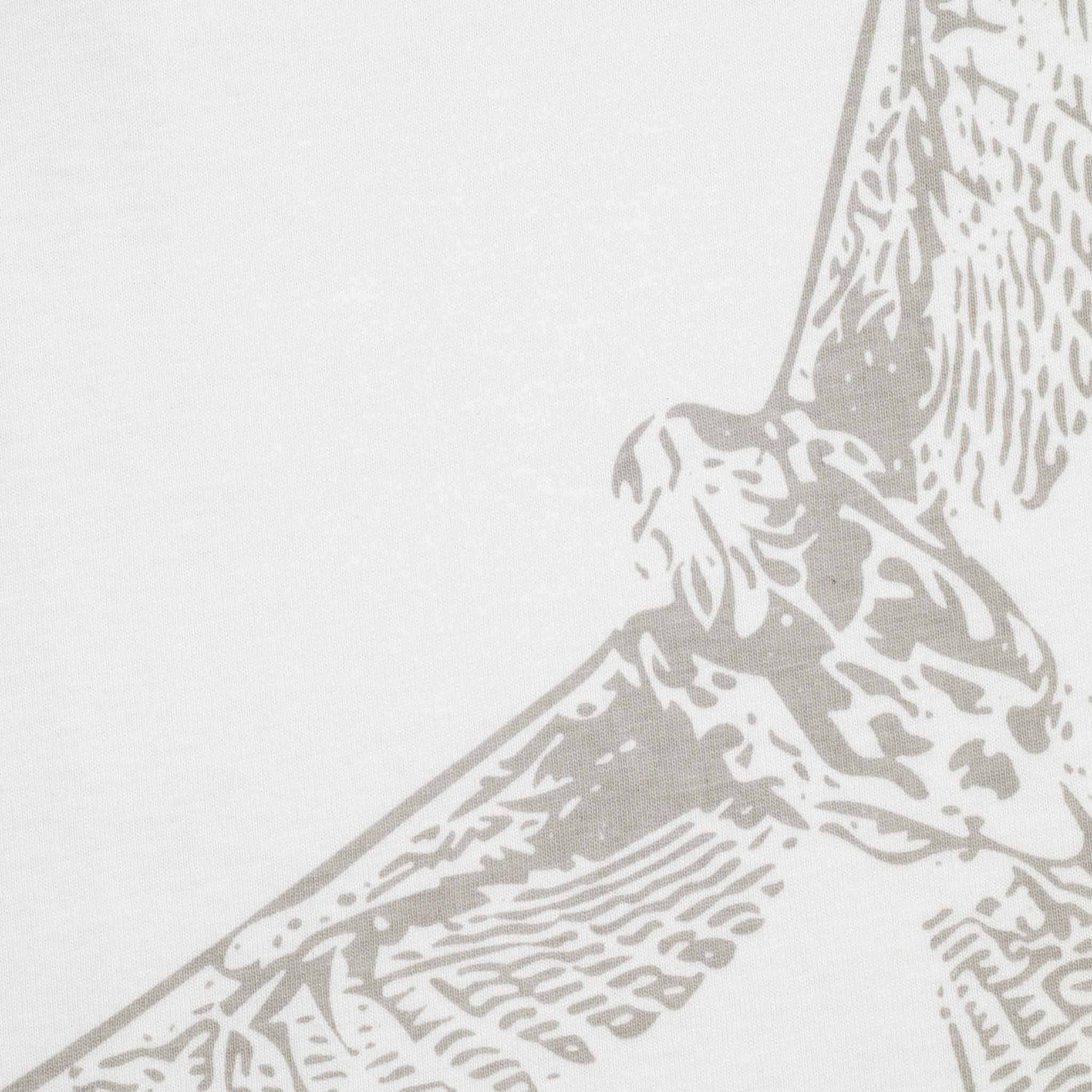 Remera Gavilán