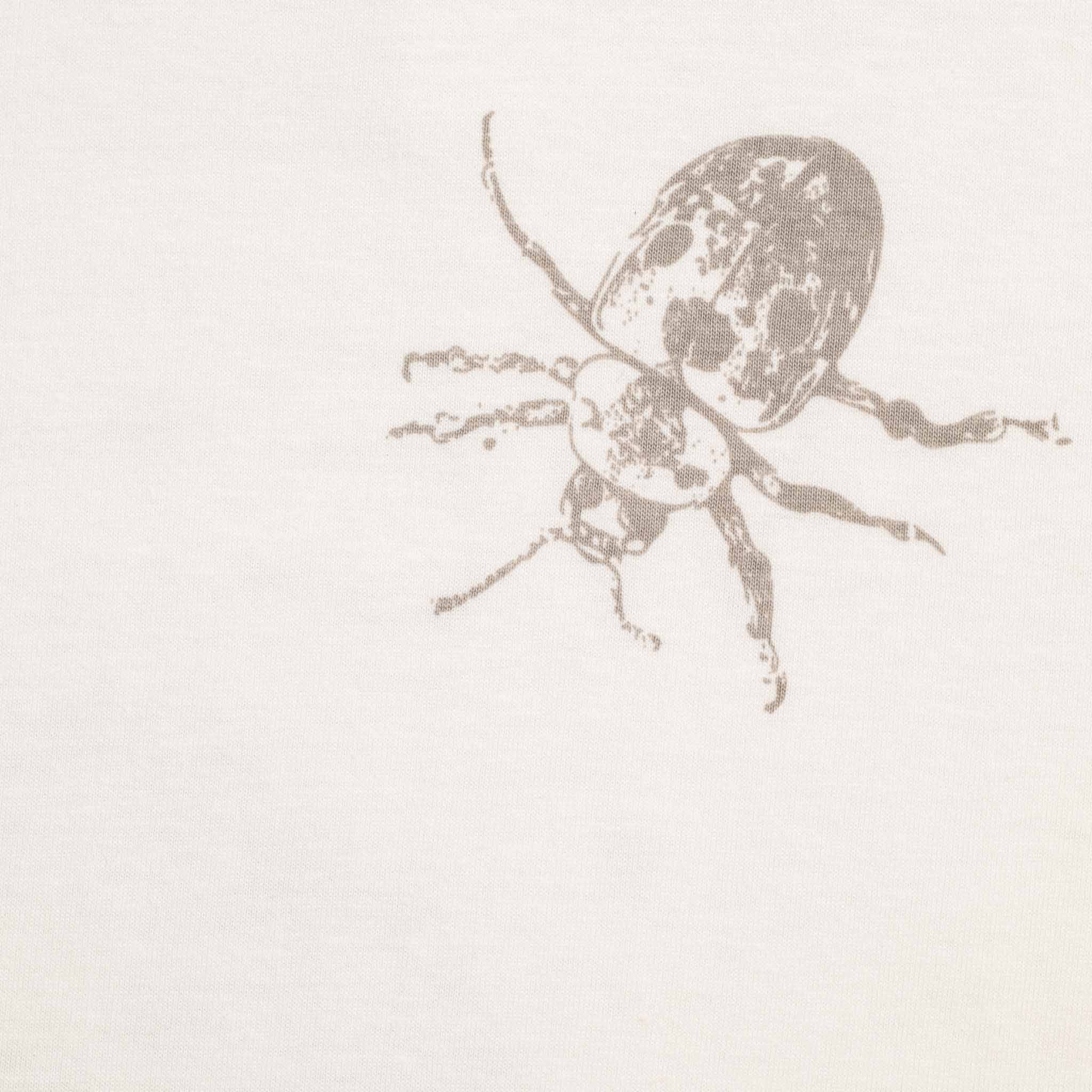 Remera Astylus
