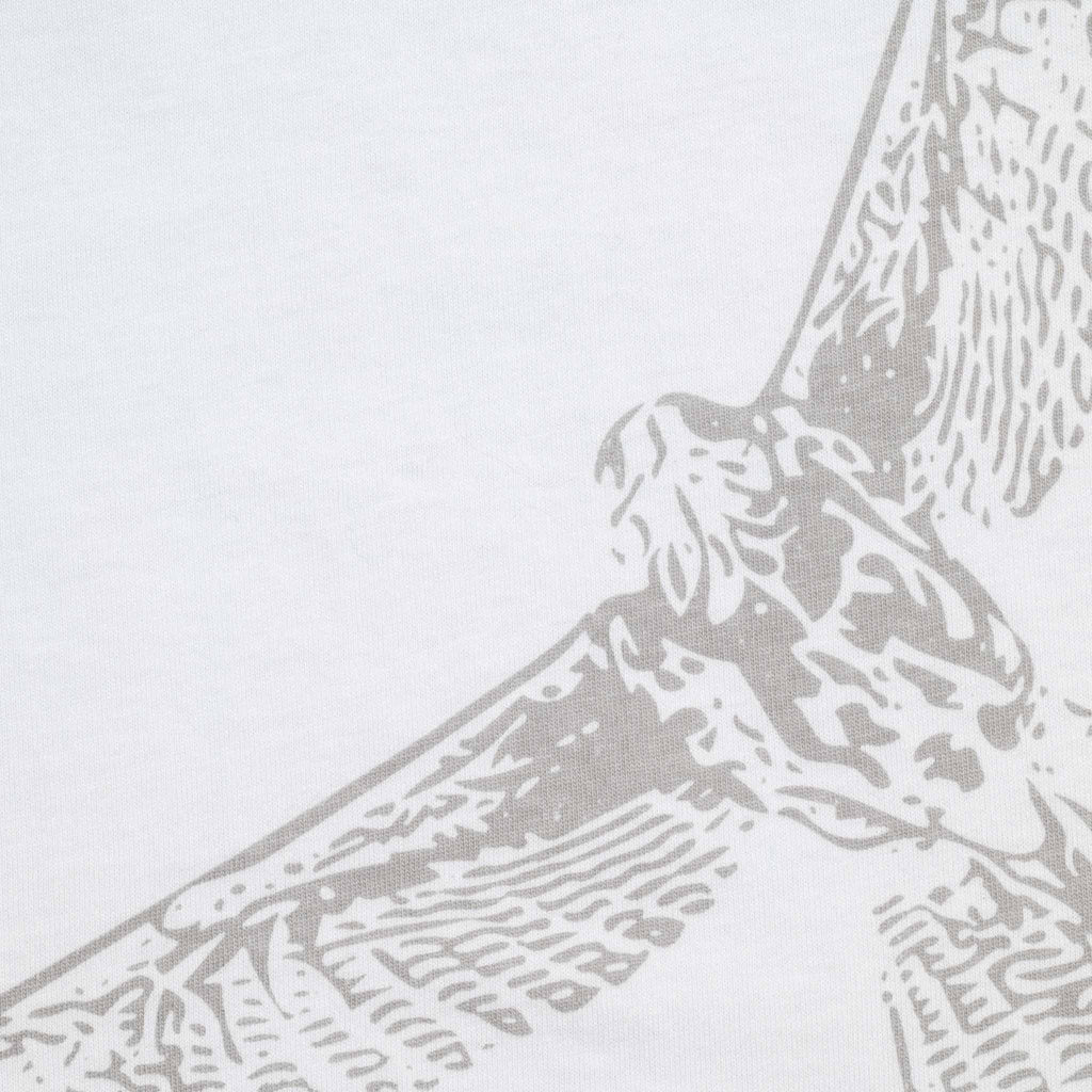Remera Gavilán