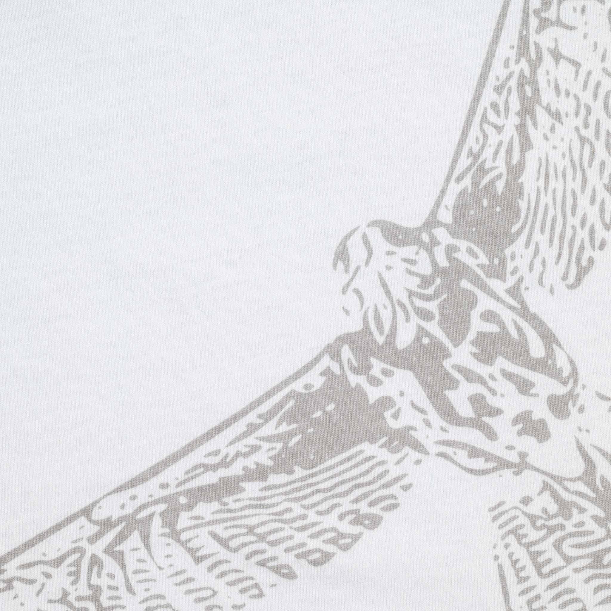 Remera Gavilán